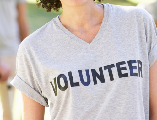 Day Camp Adult Volunteer